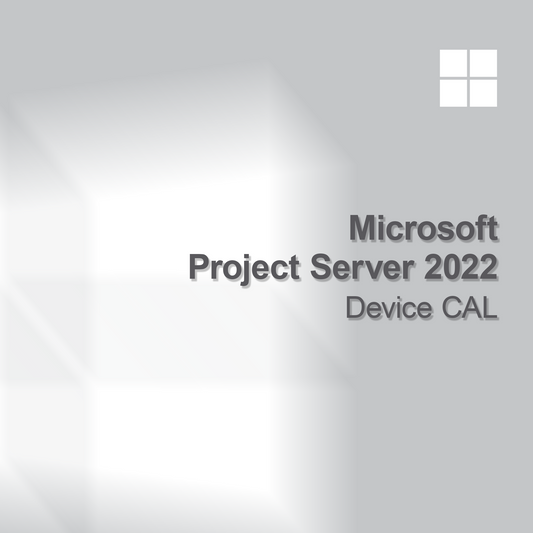 Microsoft Project Server 2022 Συσκευή CAL